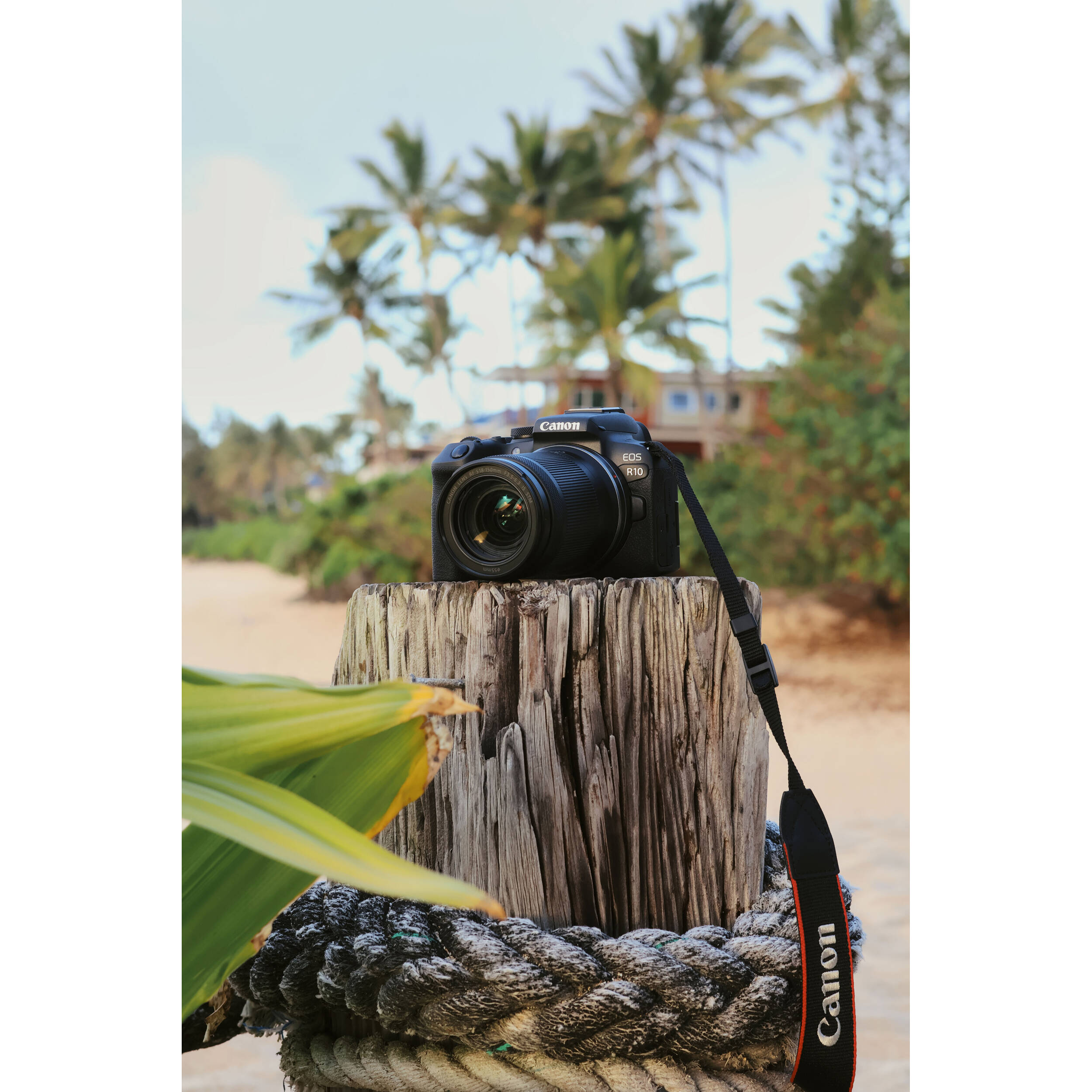 Canon EOS R10 mirrorless camera kit with 18-45mm IS STM lens, black body — view 19