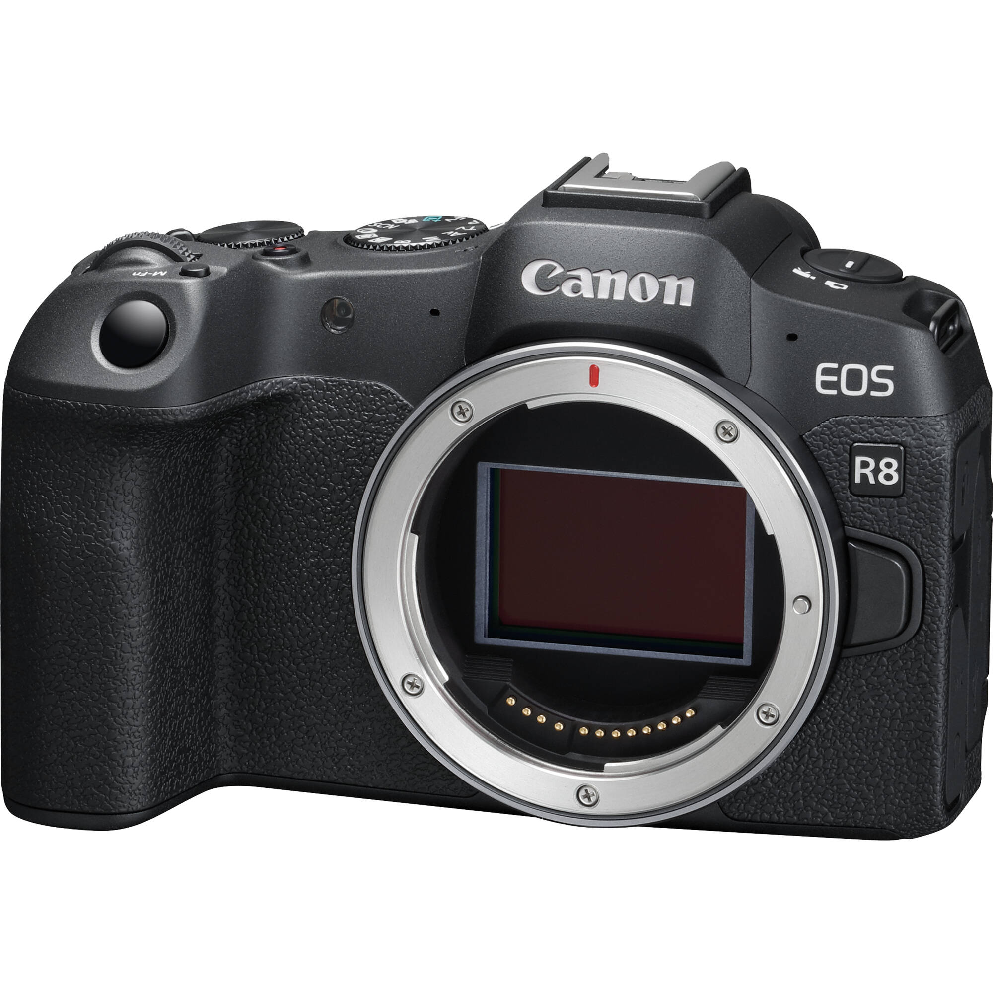 Canon EOS R8 mirrorless camera content creator kit for full-frame stills and 4K video — view 3