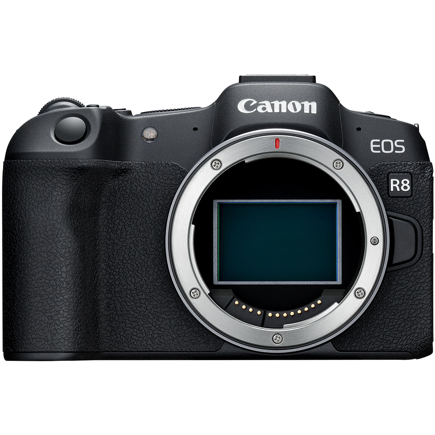 Canon EOS R8 mirrorless camera content creator kit for full-frame stills and 4K video — view 8