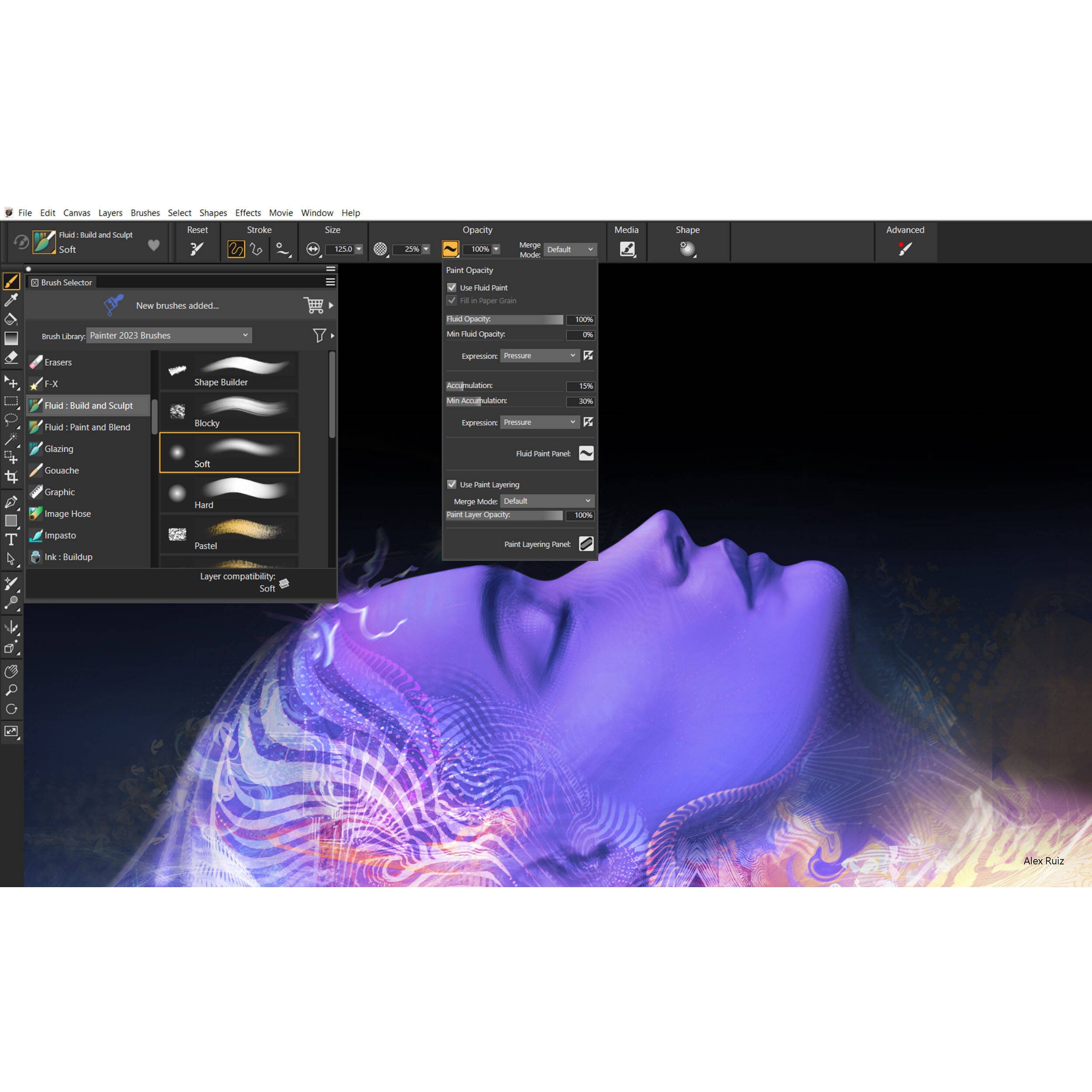 Corel Painter 2023 ML Education digital painting software for classroom illustration workflows — view 3