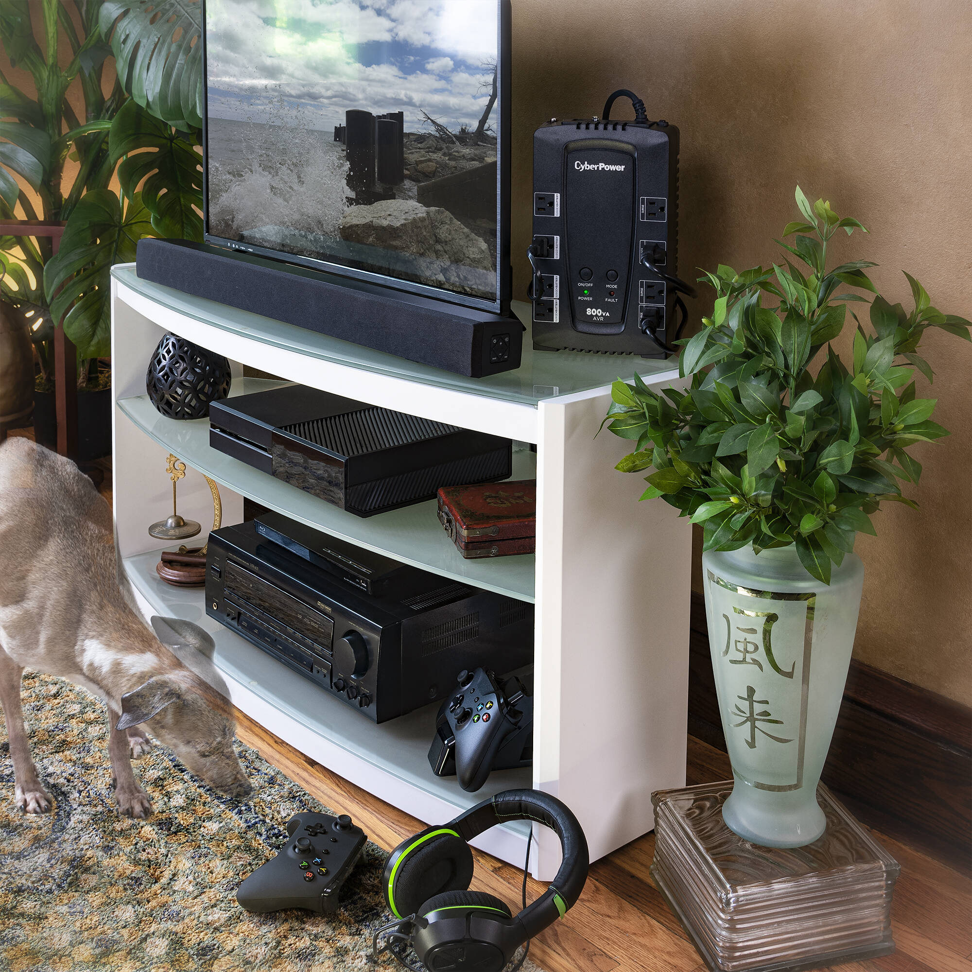 CyberPower CP800AVR 800VA 450W desktop UPS with AVR and 8 outlets — view 4