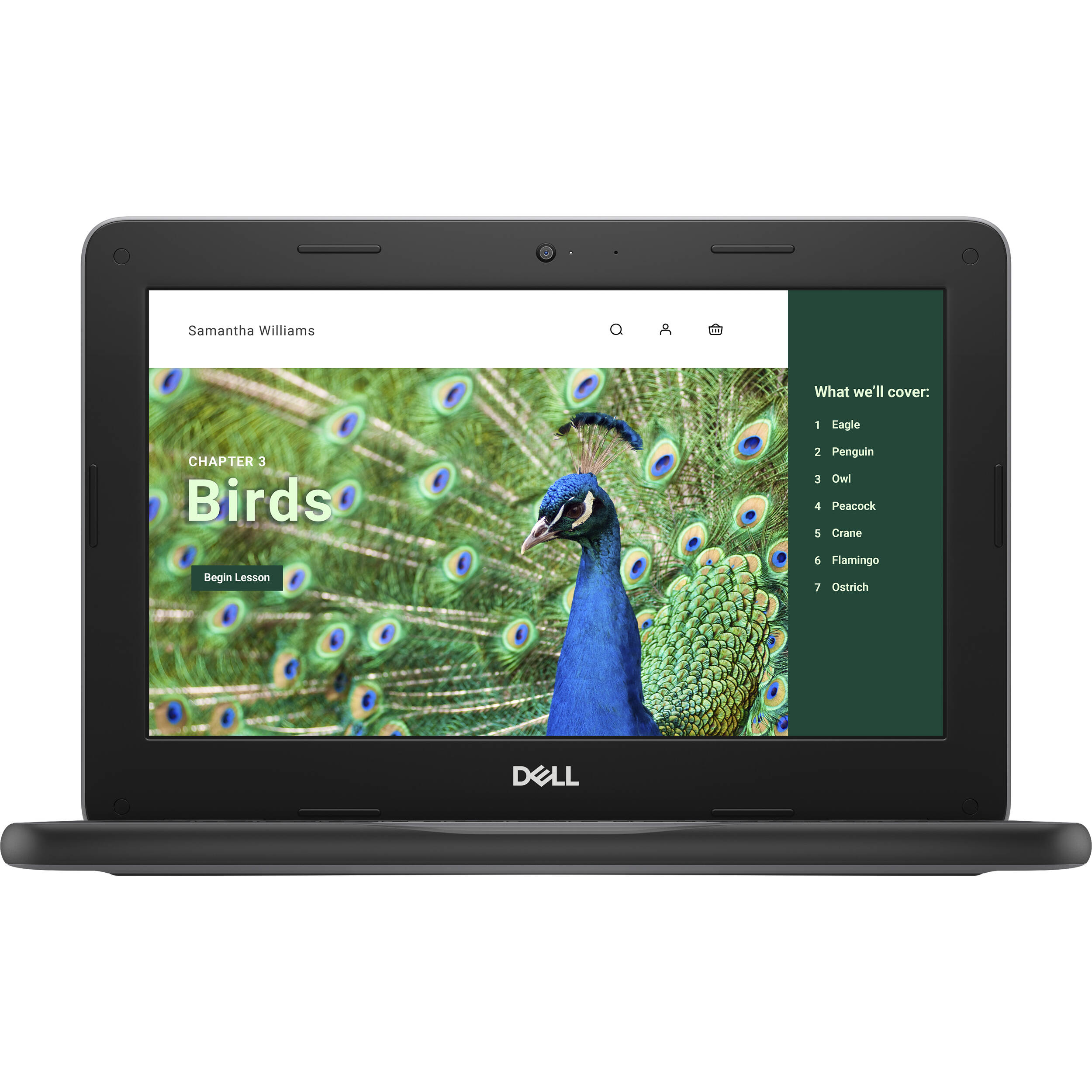 Dell Chromebook 3120 with 11-inch HD display, Intel N100 processor, and ChromeOS — view 2