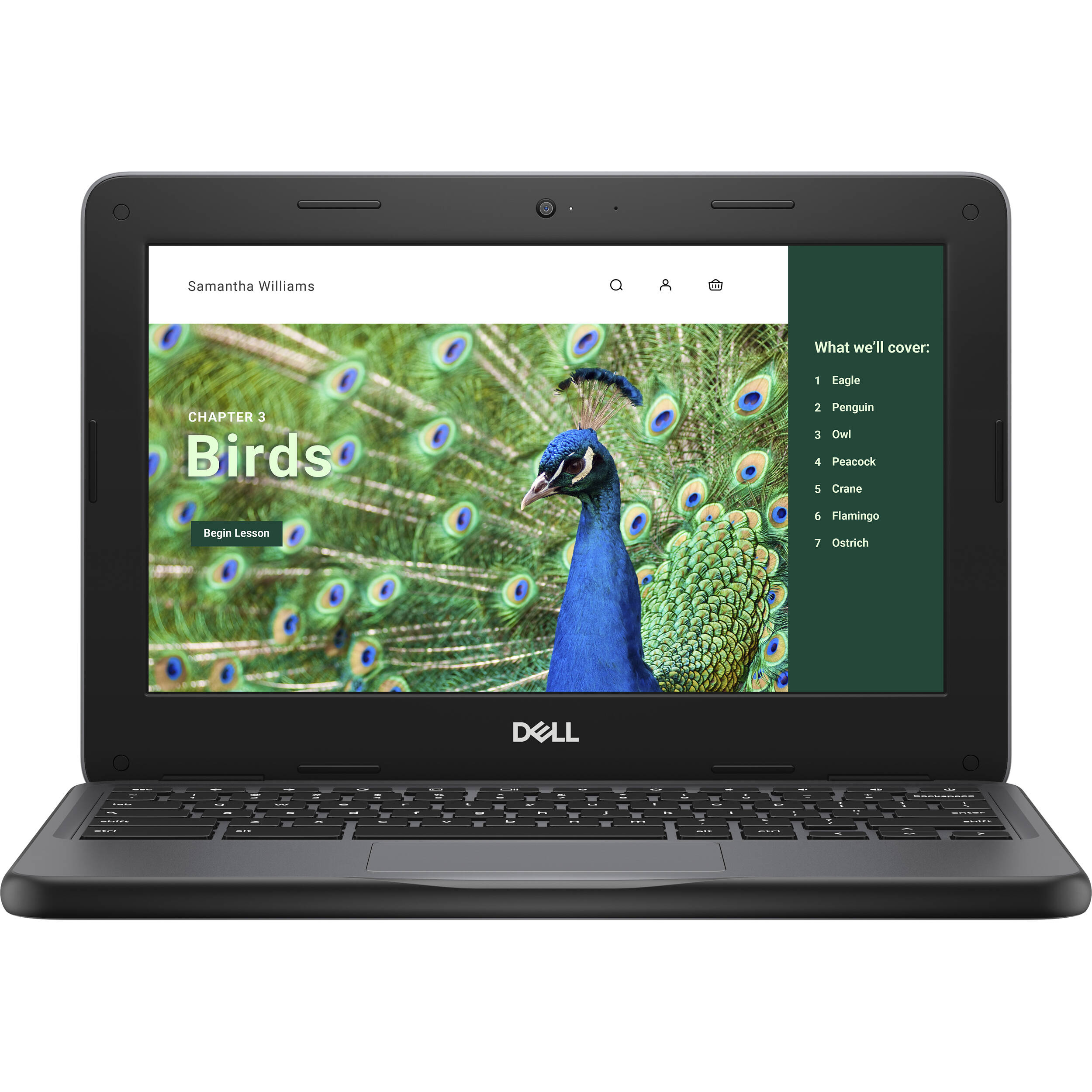 Dell Chromebook 3120 with 11-inch HD display, Intel N100 processor, and ChromeOS — view 3