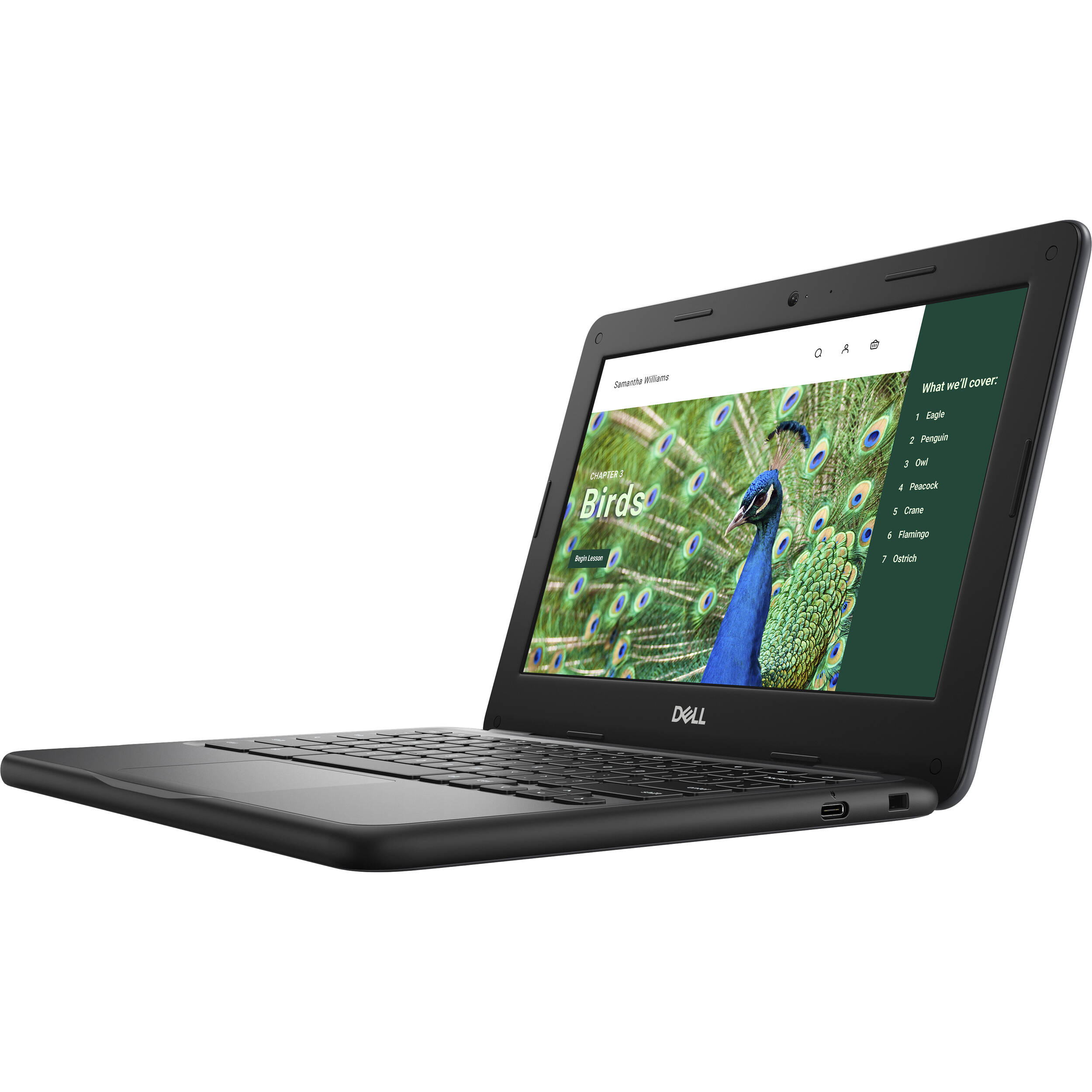 Dell Chromebook 3120 with 11-inch HD display, Intel N100 processor, and ChromeOS — view 4
