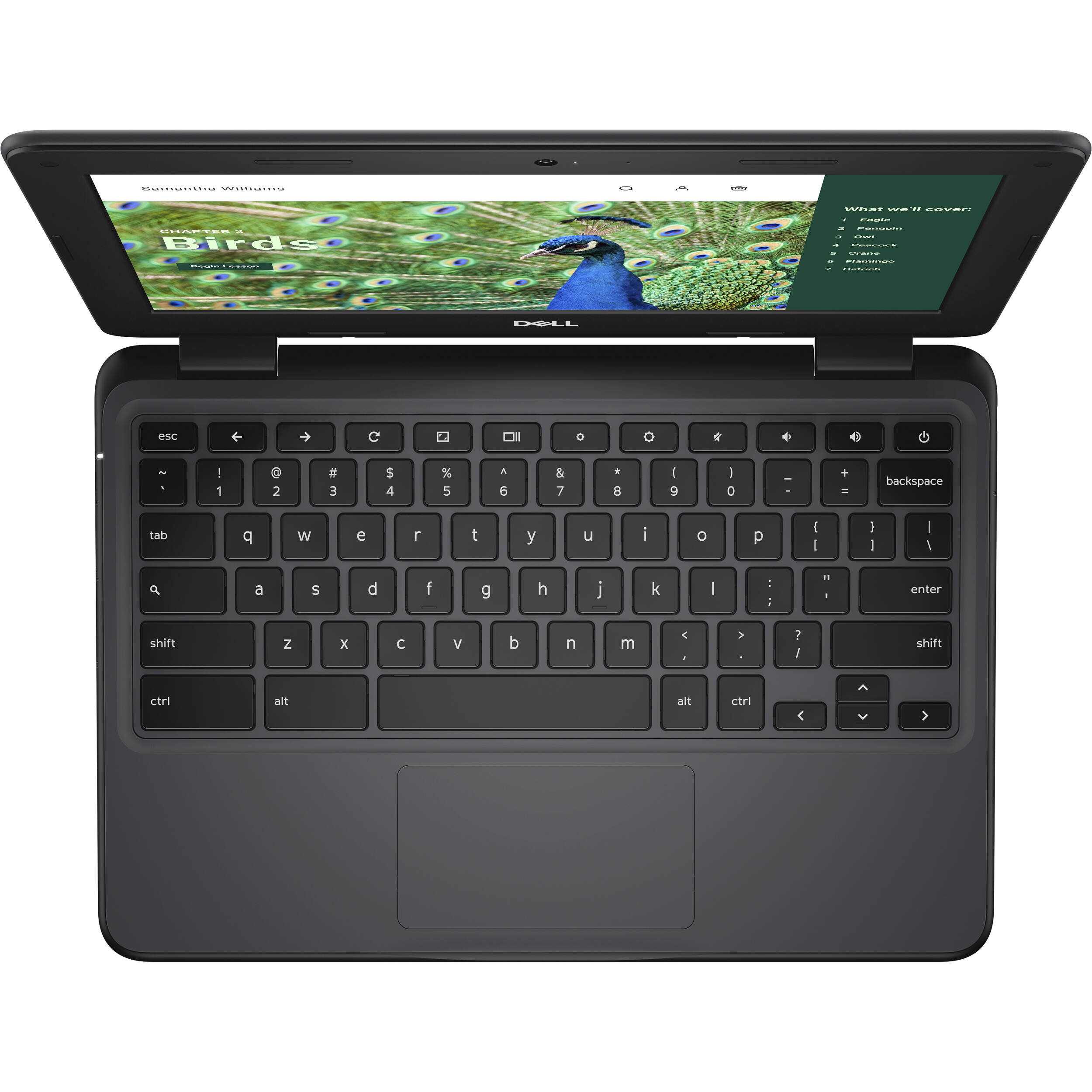 Dell Chromebook 3120 with 11-inch HD display, Intel N100 processor, and ChromeOS — view 5