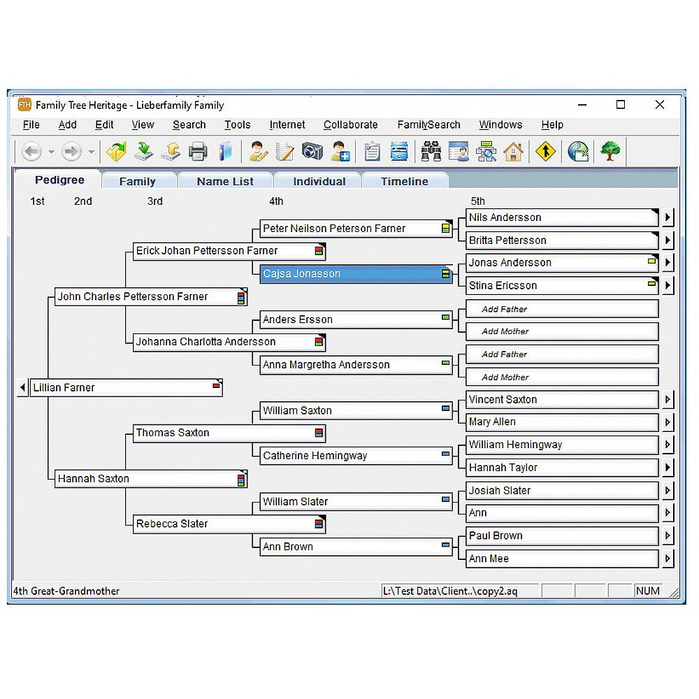 Family Tree Heritage Gold 16 ESD genealogy software — view 2