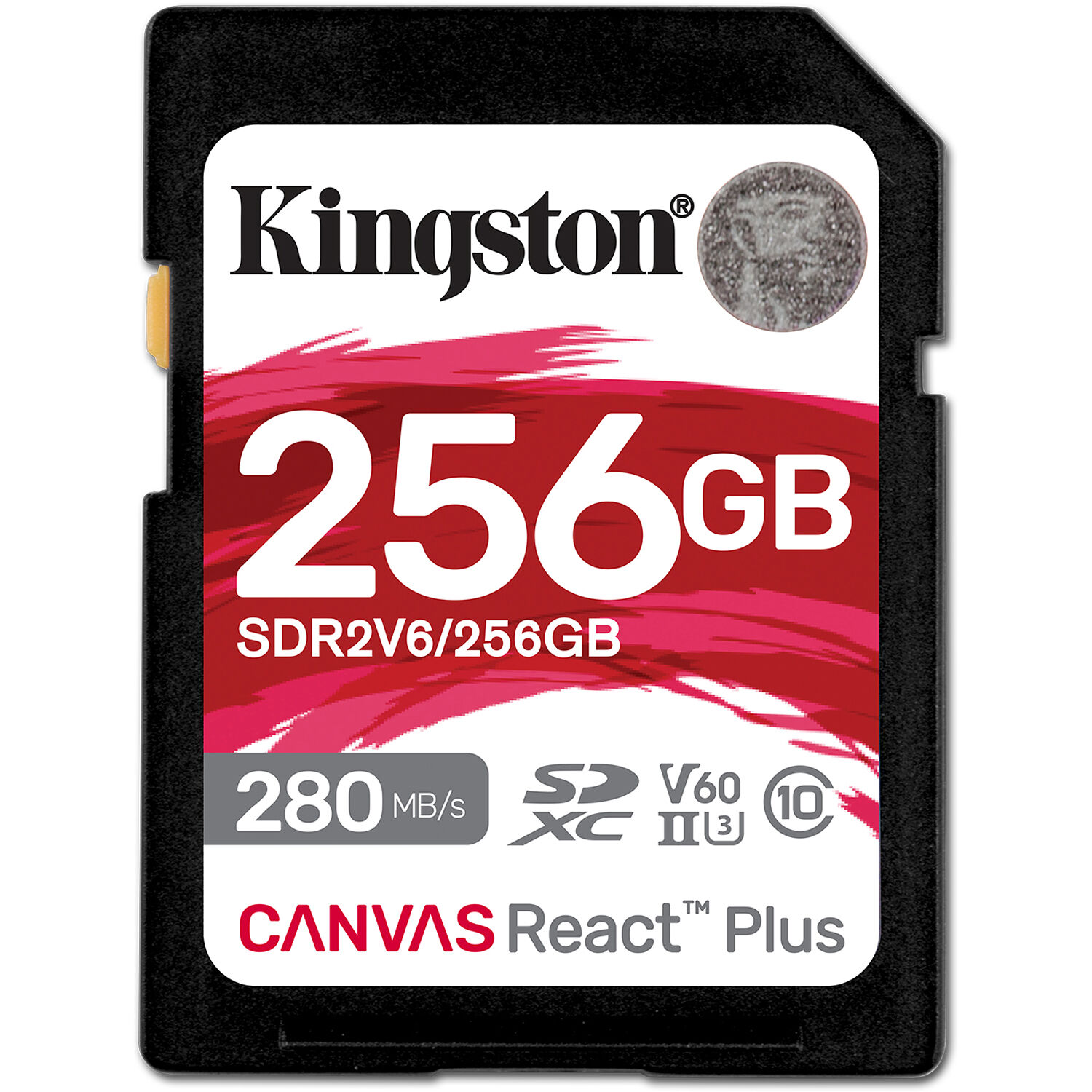 256gb Canvas React Plus Sdxc