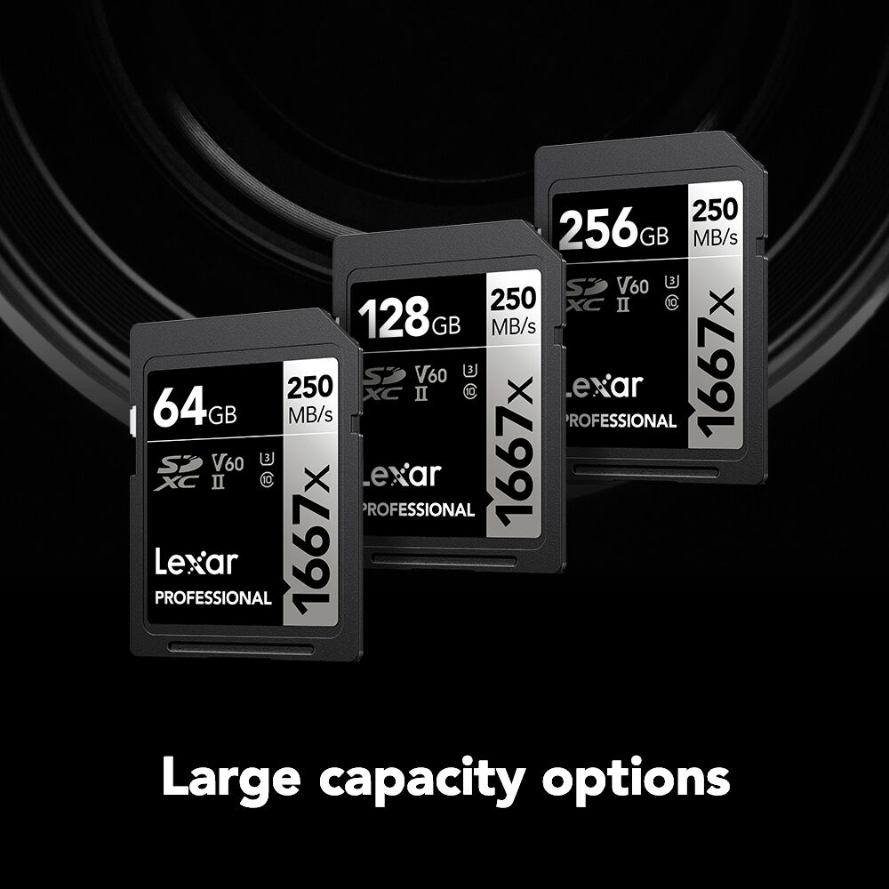 LEXAR PRO SDXC,1667X 128GB,C10,UHS-II,U3 — view 6