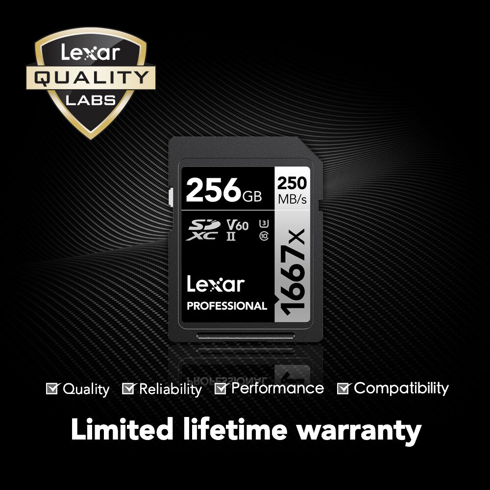 LEXAR PRO SDXC,1667X 256GB,C10,U-II,U3 — view 7