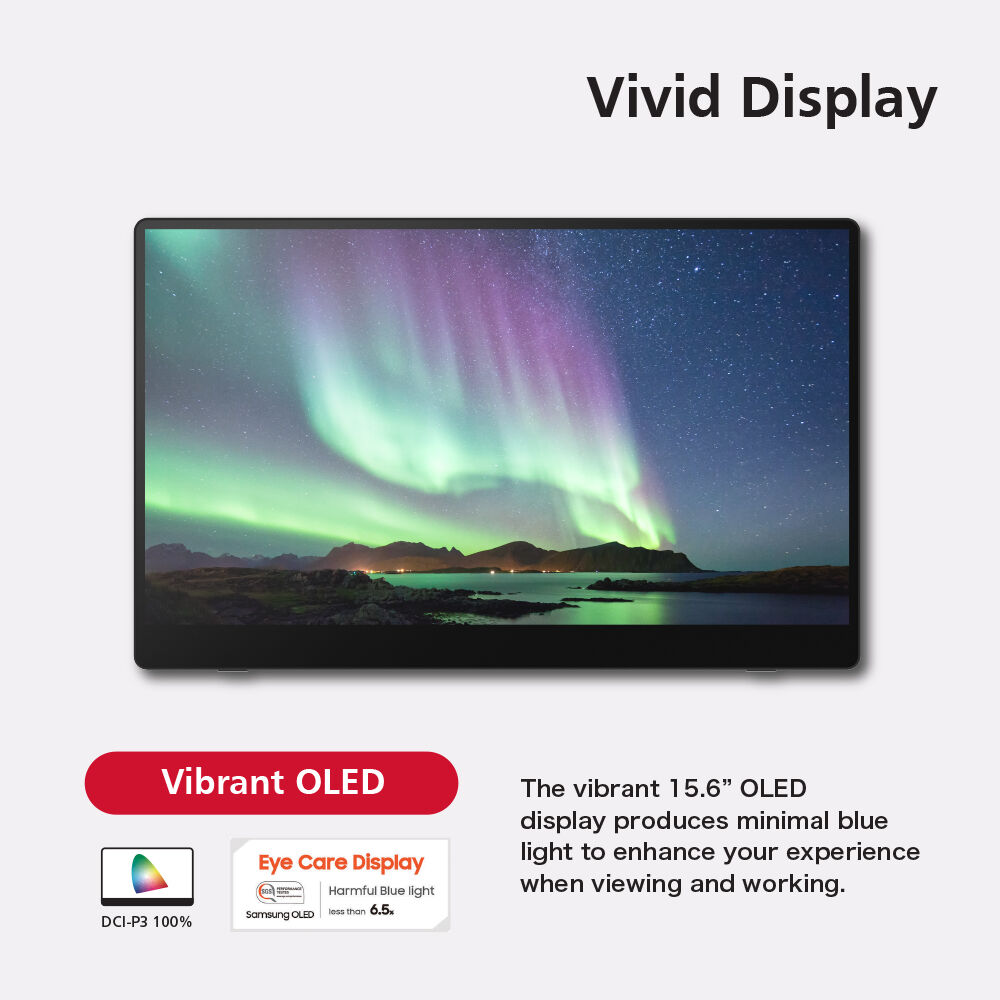 Ricoh 150BW portable monitor for mobile productivity and dual-screen work — view 11
