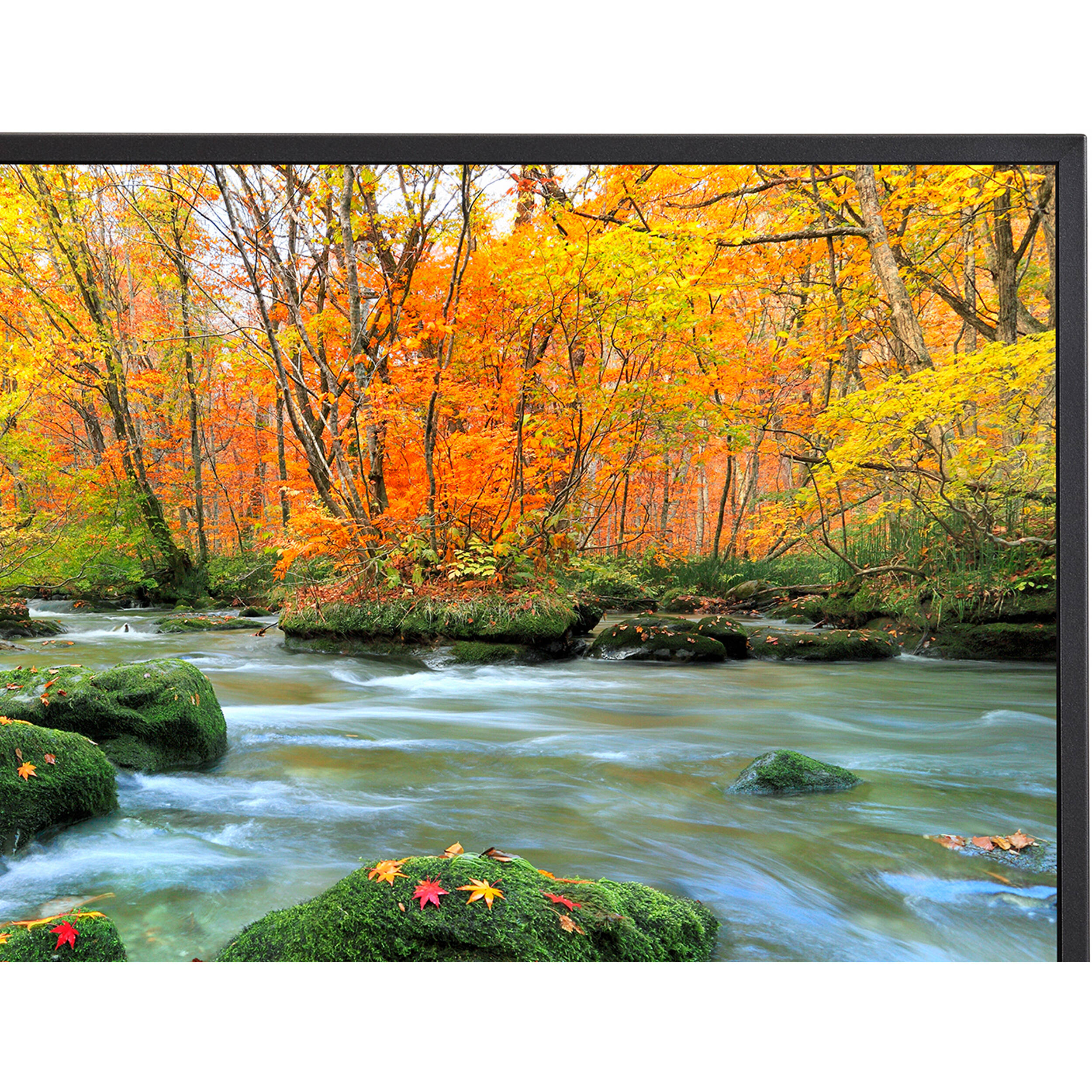 Sharp MultiSync PN-ME652 — view 6