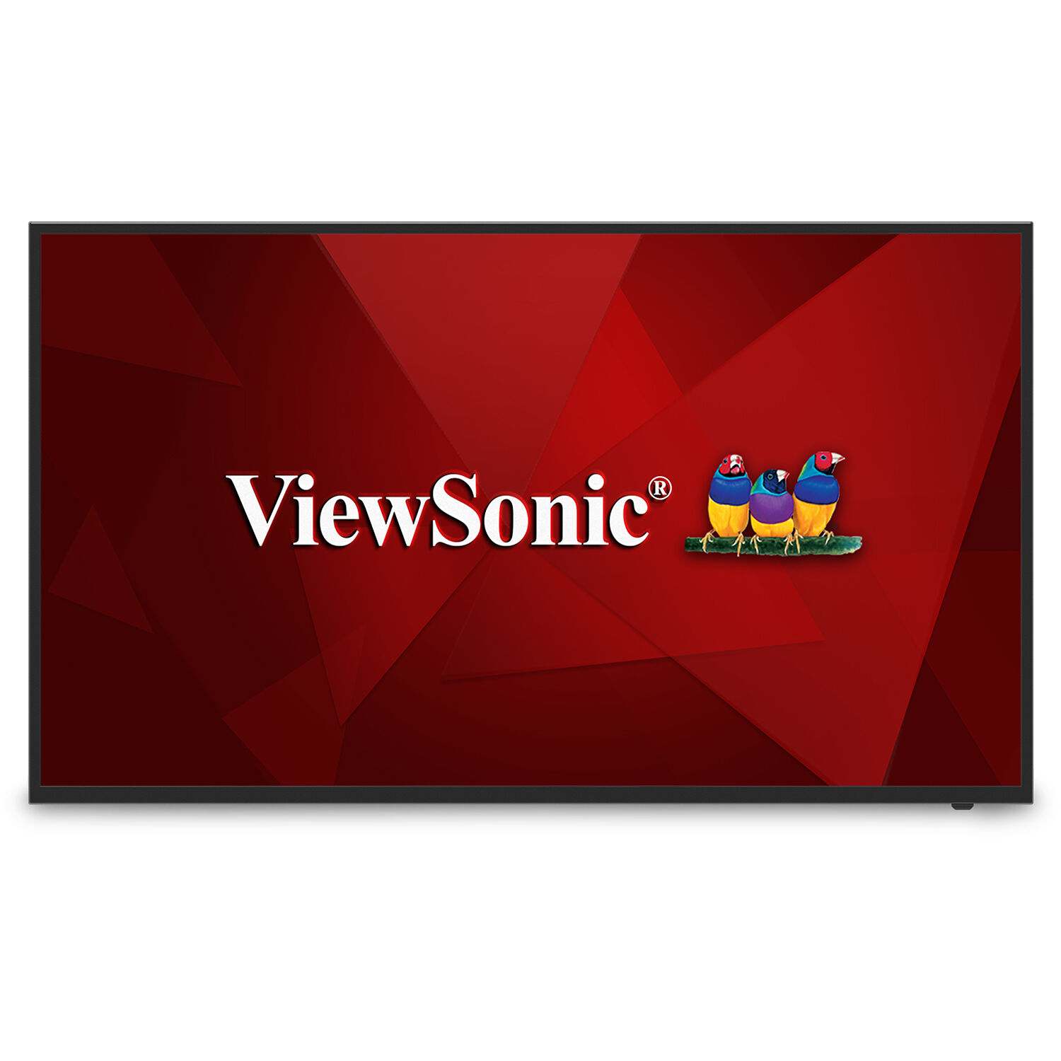 55  4k Uhd Display